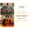  208 - L'Instant SPIRITUEUX - Cognac & Armagnac - 23/11/23