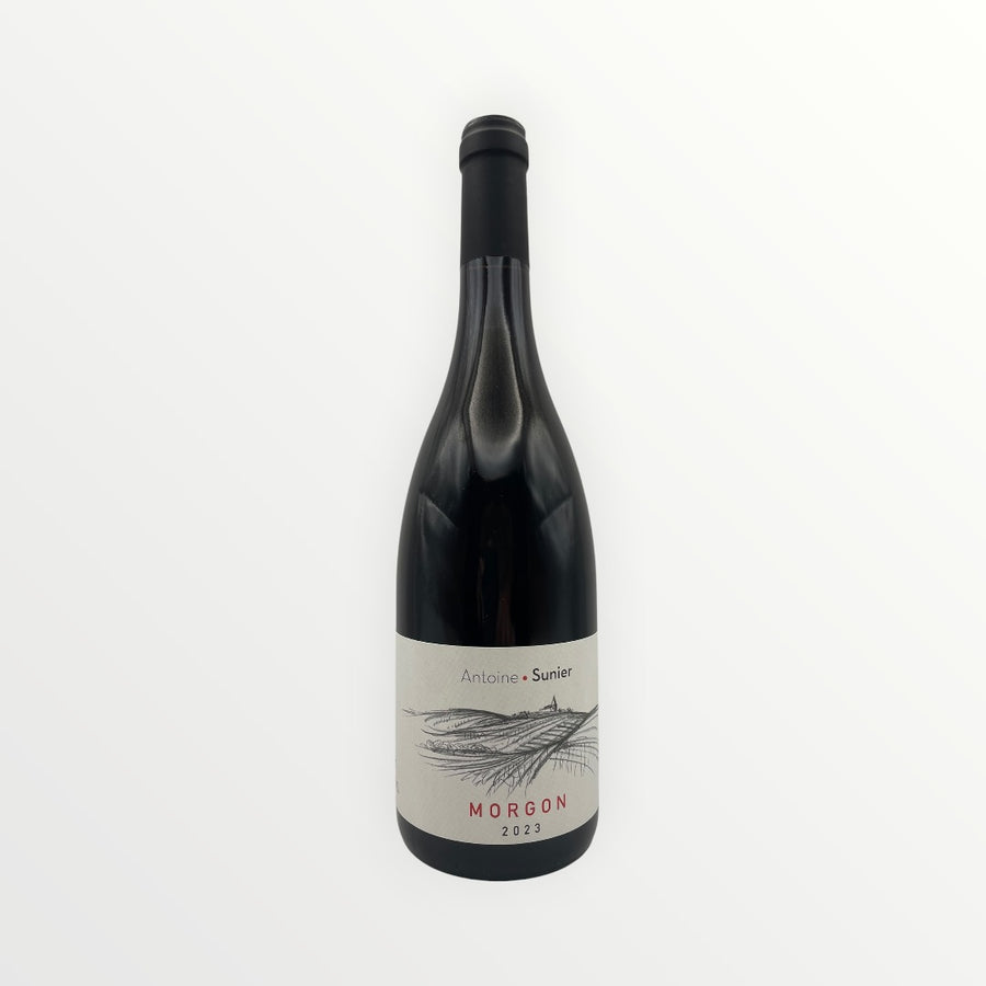 Domaine Antoine Sunier - Morgon 2023
