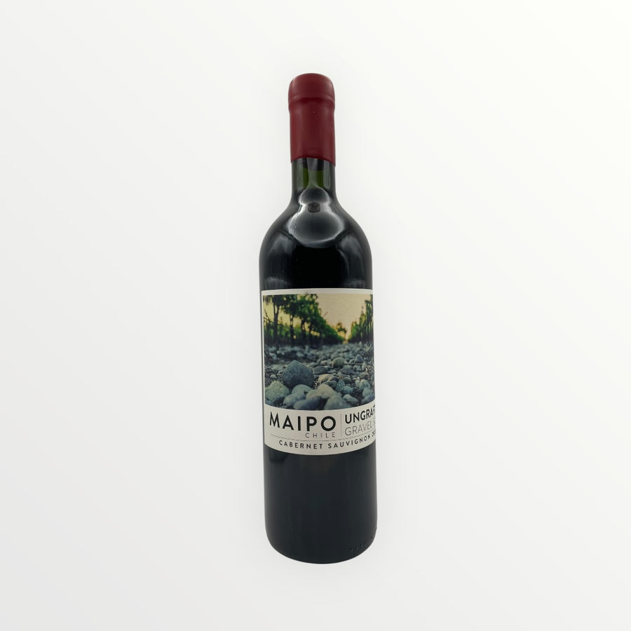 DE MARTINO - ISLA MAIPO - Ungrafted Cabernet Sauvignon 2020